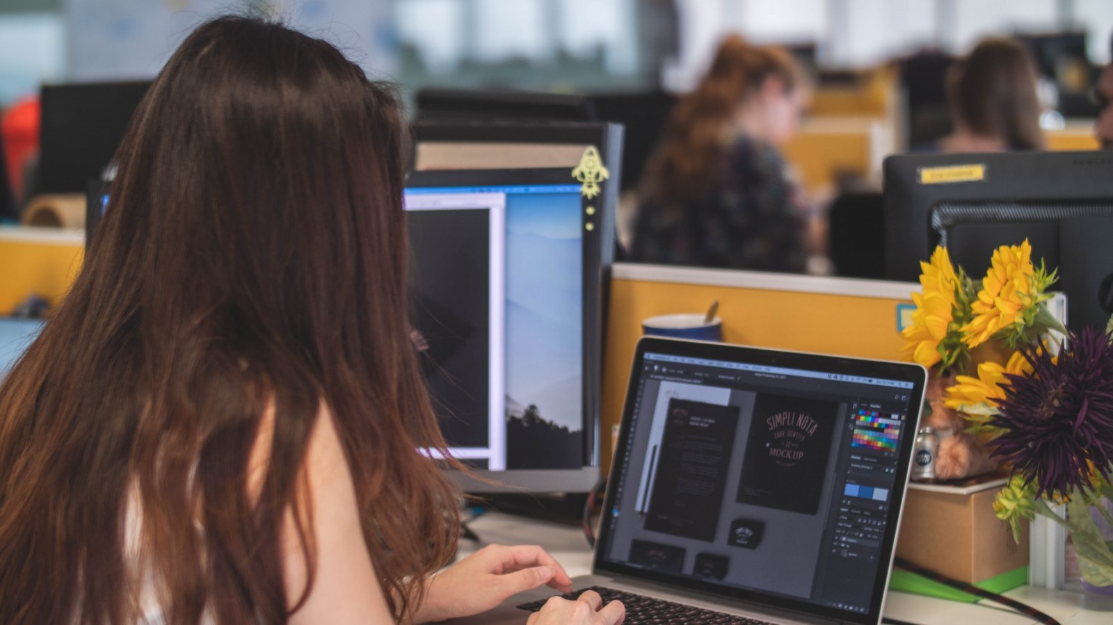 web designer